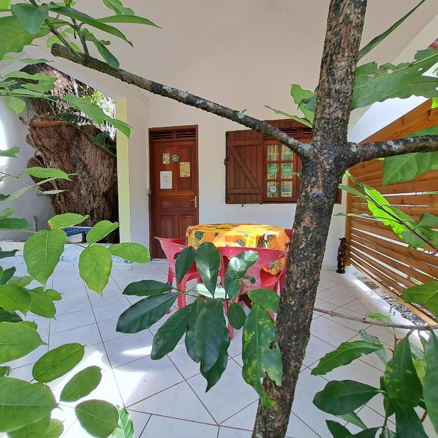 Residence Les Manguiers Pointe-Noire Ngoại thất bức ảnh