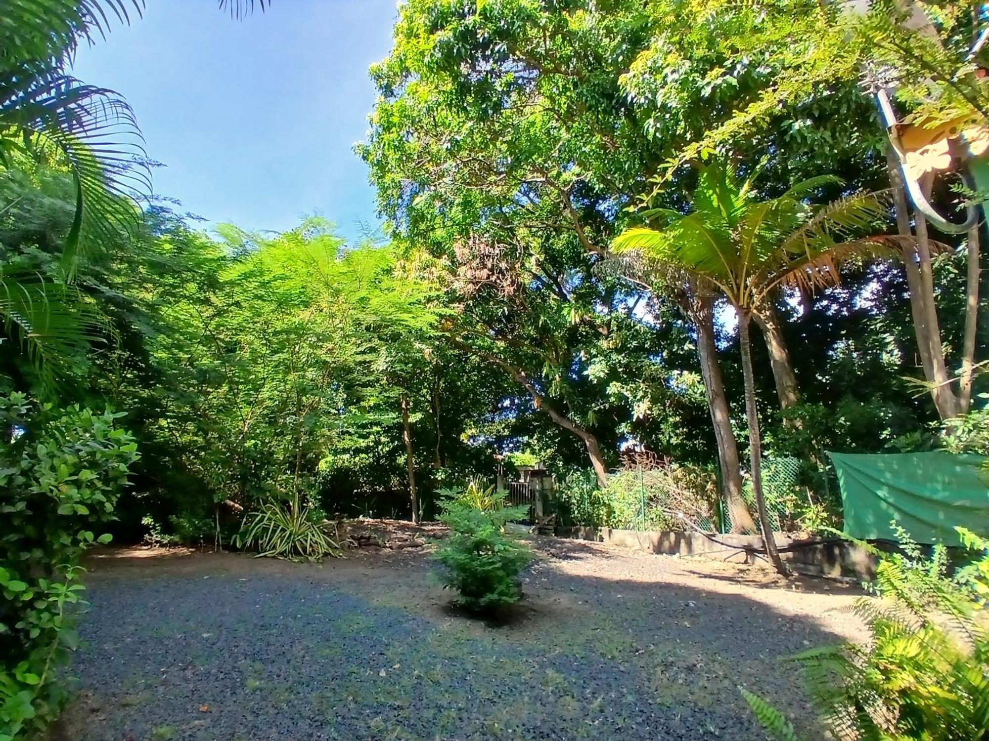 Residence Les Manguiers Pointe-Noire Ngoại thất bức ảnh
