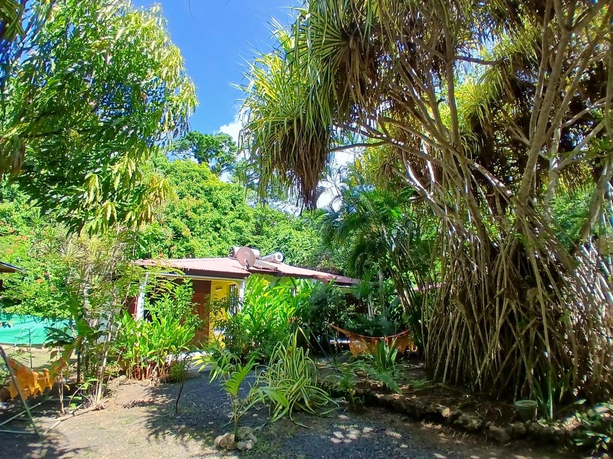 Residence Les Manguiers Pointe-Noire Ngoại thất bức ảnh