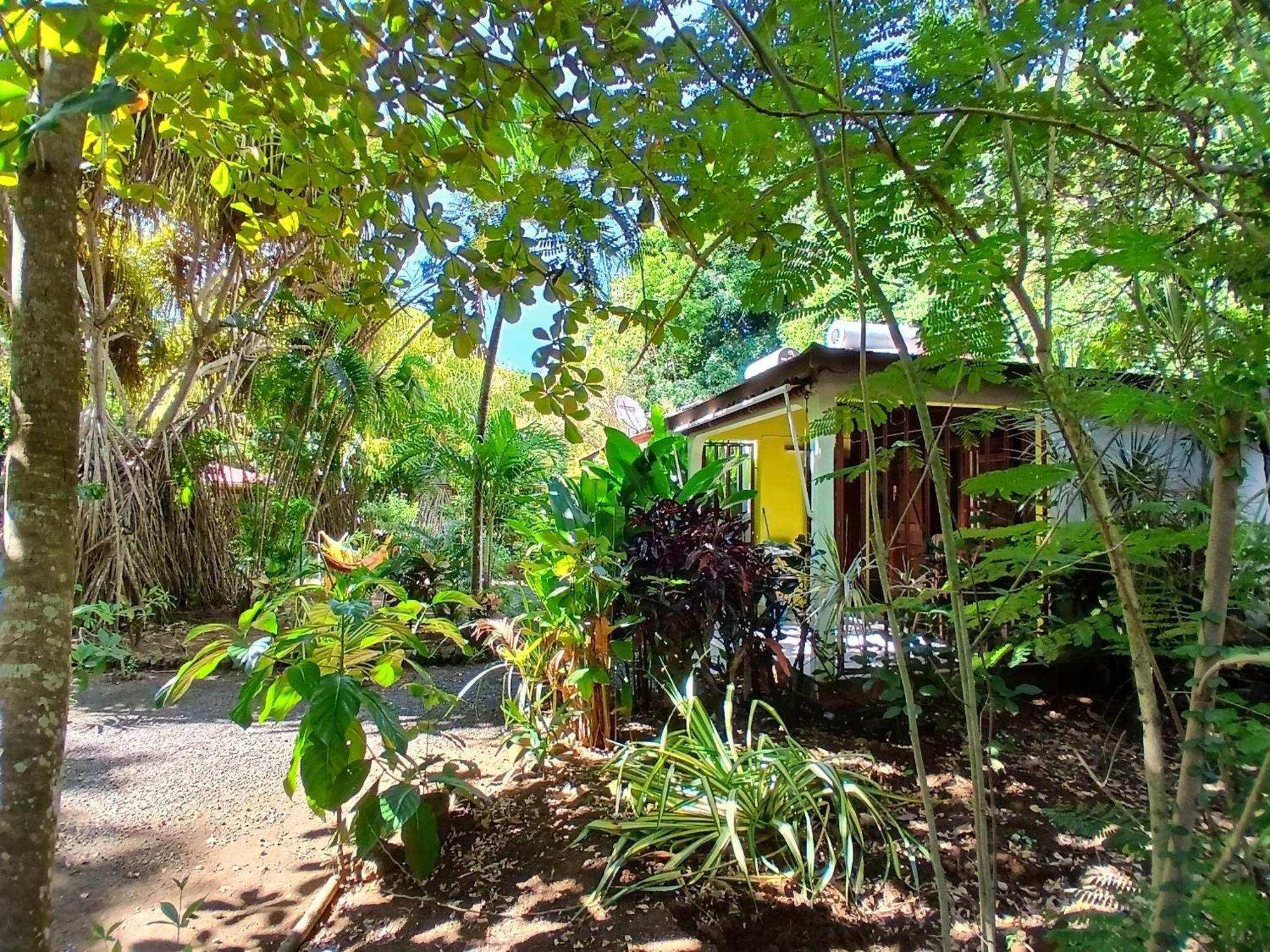 Residence Les Manguiers Pointe-Noire Ngoại thất bức ảnh