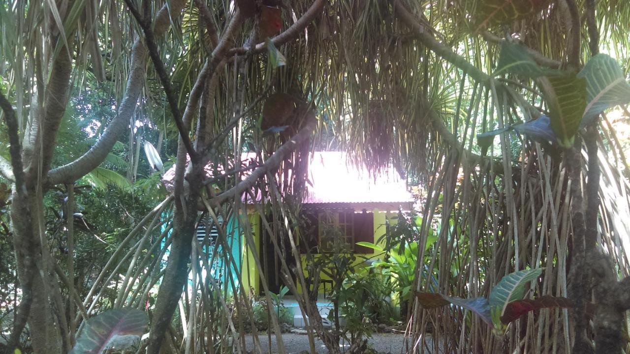 Residence Les Manguiers Pointe-Noire Ngoại thất bức ảnh